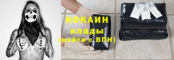 хмурый Абаза