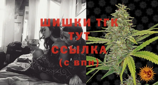 PSILOCYBIN Покачи