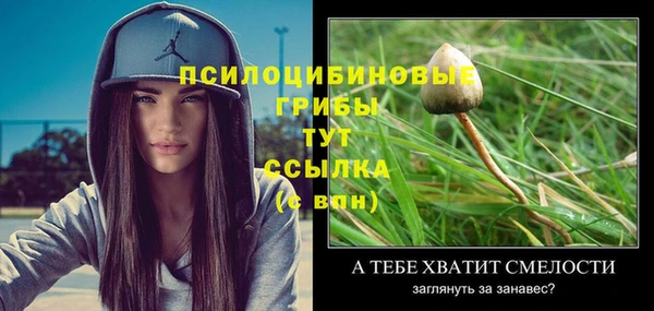 индика Покров