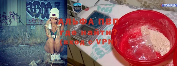 хмурый Абаза