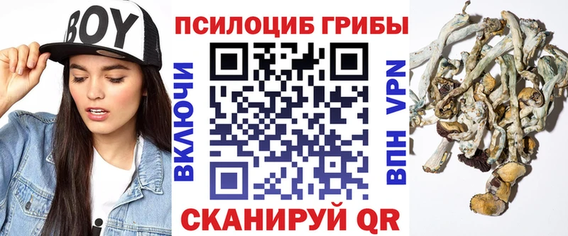 где найти   Касли  Галлюциногенные грибы Cubensis 